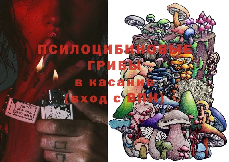 Псилоцибиновые грибы Cubensis  купить  сайты  Покачи 